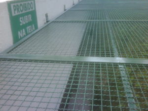 img00666-20120710-1252